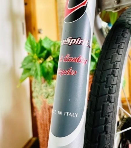 自転車 [受付終了]致しました イタリア貴公子の乗り物(Free SPirit 