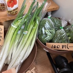 無人直売所　お野菜入荷❗️