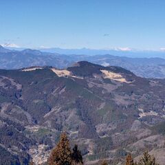 山登りませんか？