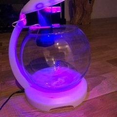 テトラ　アクアリウム　LEDライト付き水槽