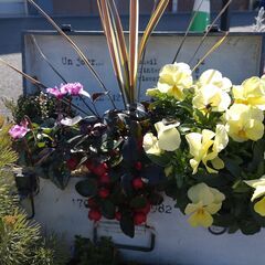 🌸ガーデニング専門店と花と緑に囲まれた花カフェ☕ − 熊本県