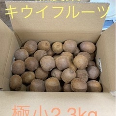 【在庫切れ】☆★☆キウイフルーツ小粒〜2.3kg【未完熟･食べ頃...