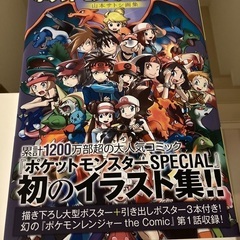 （お譲り先決定）12日までの限定公開です ポケットモンスターSP...