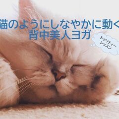 【3月オンラインヨガ】チャリティー🐾猫のようにしなやかに動く背中...