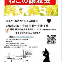 つるみ・猫のカギしっぽ譲渡会3月26日　 JR鶴見駅西口から徒歩...
