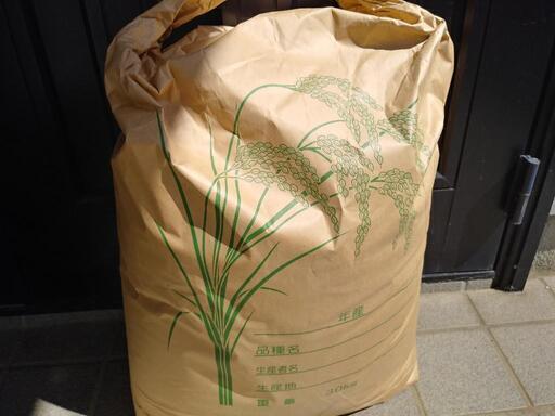 ⭐︎猫柴様専用ページ⭐︎新米30㎏ コシヒカリ 茨城県産 専用