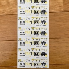 【ネット決済・配送可】リフト券/富士見パノラマ