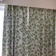 ニトリ　遮光カーテン2枚セット　幅100×丈200cm（2枚）色：緑