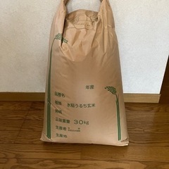 玄米30kg令和４年産