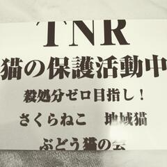 柏原市にお住まいの方にぶどう猫の会からのお知らせです🙇