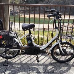 電動アシスト自転車 後ろ子供乗せ PELTECH 20インチ内装3段 TDN-207L