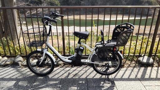 電動アシスト自転車 後ろ子供乗せ PELTECH 20インチ内装3段 TDN-207L