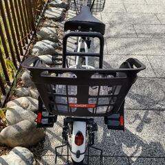 電動アシスト自転車 後ろ子供乗せ PELTECH 20インチ内装3段 TDN-207L