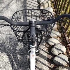 電動アシスト自転車 後ろ子供乗せ PELTECH 20インチ内装3段 TDN-207L