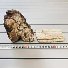 水槽用品 木化石 ２個セット