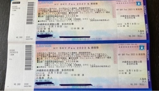 取引中キャンセル待】HY SKY Fes 3/18（土）大人2枚 15,000円