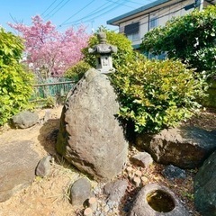 立派な庭石🪨可愛い庭石🪨、必要ありませんか❓差し上げます🎵