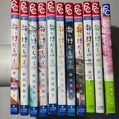 【決まりました】花にけだもの 全巻+小説セット