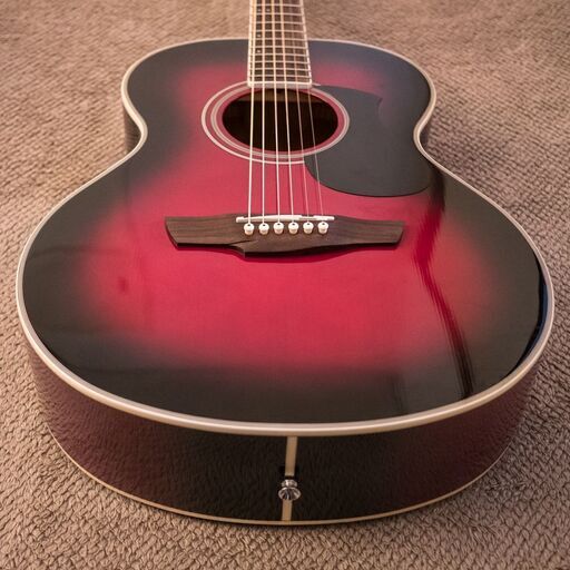 James J-300A LRB ハードケース