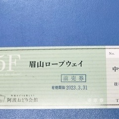 【半額以下】眉山ロープウェイ　往復乗車券　チケット　徳島　マチア...