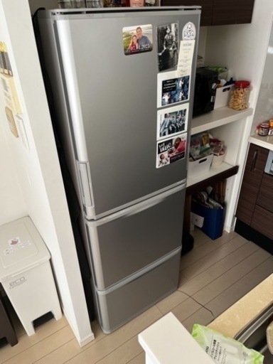 森田健一 10号 「コスモスのふるさと」 人気洋画家作品 【正光画廊】