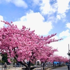 障害がある方のお手伝い