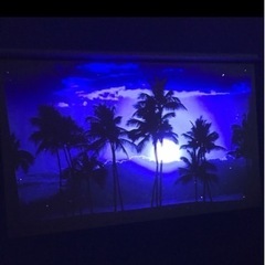 プロジェクター　 Z6 Polar Meets popIn Aladdin