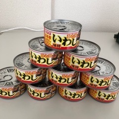 セット番号51 【抽選】イワシ缶詰セット②