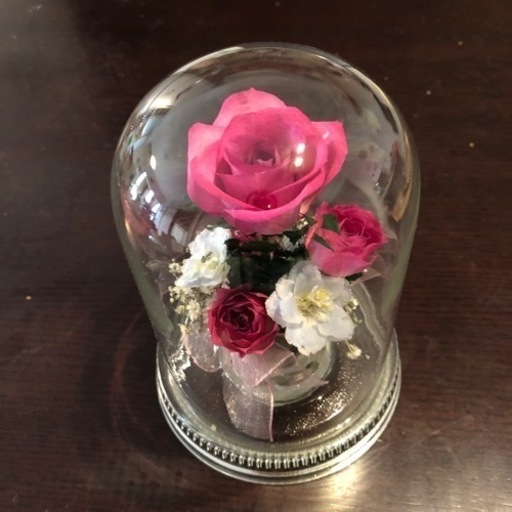 ドライフラワー レンデフロール Reine De Fleur 置物、オブジェ 