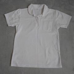 白　ポロシャツ　半袖　150