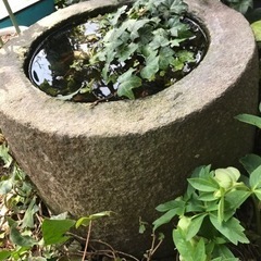 石臼 つくばい みかげ石