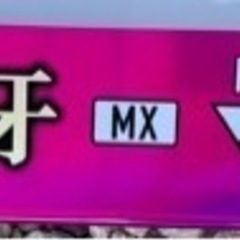 【値下げ！】【新品未使用！！！！】タイラバロッド　紅牙　MX N69MLB TG AP