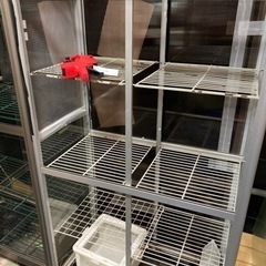 【ご成約済・ありがとうございました！！】引き取り限定・発送不可◇ガラスケース・爬虫類 室内用 ガラス温室 観葉植物 園芸 フラワーハウス