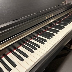 Grace Class ドットチュールロングスカート&ロングペチコート-【美品】電子ピアノ　カワイ　CA48R