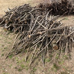 薪　栗の木　剪定木　キャンプ　ストーブ