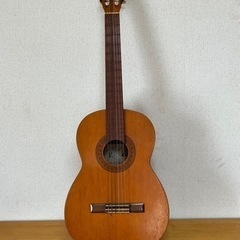ギター　鈴木ヴァイオリン