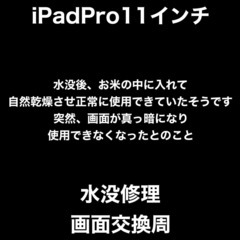 iPadPro11 水没修理　福岡市西区福重からお越しのT様