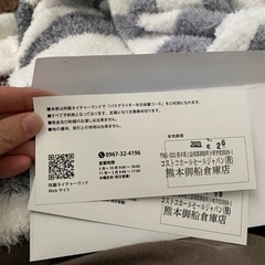 阿蘇ネイチャーランド パラグライダーチケット2枚