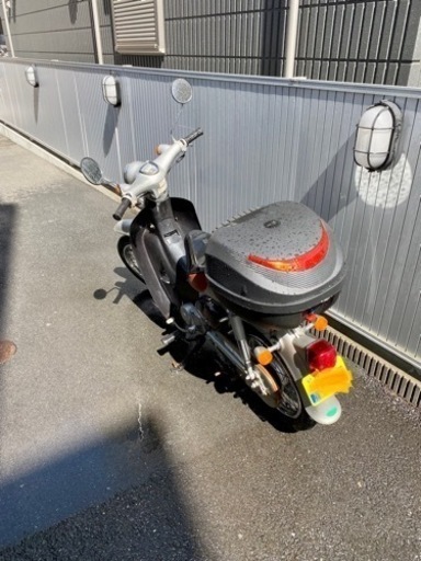 リトルカブ