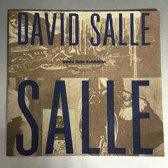 🔷🔶🔷ut5/63 【図録】David Salle　デヴィッド・...