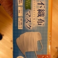 取引中　マスク普通サイズ　30枚×10箱　合計300枚