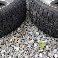 軽用　15インチ スポークホイール