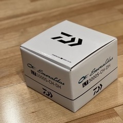 去年の春のみ数回使用美品！釣具/ロッド/リール/エギング/イカ/エメラルダス