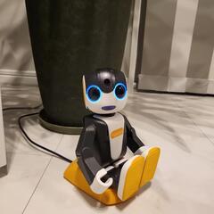 ☆SHARP ロボホン本体 RoBoHoN Wi-Fiモデル☆ SR-04M-Y