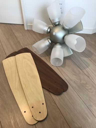 お取引中】LEDシーリングファン 大光電機製 リモコン付 ptpnix.co.id