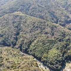 山林物件118　山口県熊毛郡田布施町