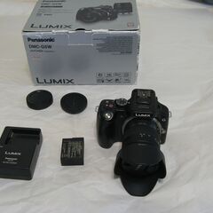 Panasonic DMC-G5 　シャッタ－カウント回数744...