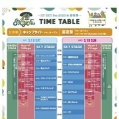 値下げしました！「Skyフェス　3/18(土) 大人２枚」