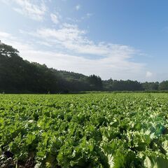 ［午前のみ］【富士見】農作業スタッフ大募集！未経験者大歓迎！！ - 諏訪郡