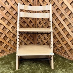 TAW トライアルファ レオウィング FM9 20インチ2本